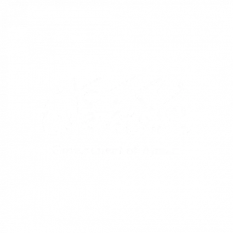 Gw2GfLYRvdpPBEHe5bEg